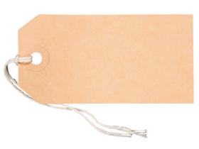 ANHAENGEETIKETTEN  mit Karton&ouml;se,  50 x 100 mm, braun