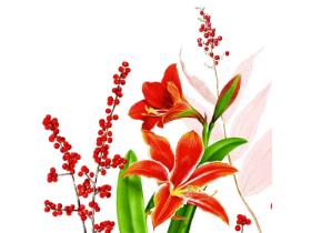 SERVIETTEN AIRLAID  40 x 40 cm, 1/4 Falz, Airlaid, FELINA