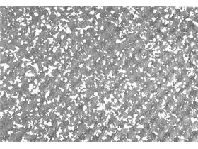 NUMATIC ESM, SSM ZUBEH&Ouml;R  Exzenter-Pad Melamin, 35 x 50 cm