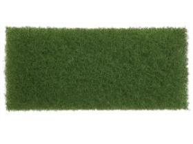 RANDREINIGUNGSPAD  Randreinigungspad, gr&uuml;n, 25x11 cm
