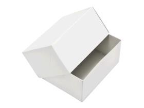 PATISSERIESCHACHTEL  27 x 20 x 9 cm, weiss