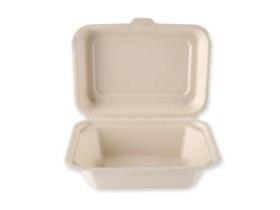 LUNCHBOX BAGASSE  ungeteilt, 18.5 x 13.5 x 6.5 cm, natur