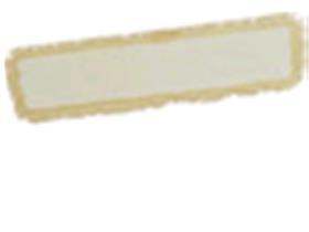 DIVERSEY MOP  Taski Micro Mop, 40 cm