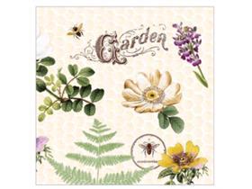 SERVIETTEN SOFTPOINT  40 x 40 cm, 1/4 Falz, Softpoint, BEE-K.