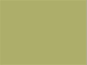 TISCHSET AIRLAID  "UNI", 40 x 30 cm, olive