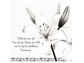 SERVIETTEN AIRLAID  33 x 33 cm, 1/4 Falz, Airlaid, ABSCHIED