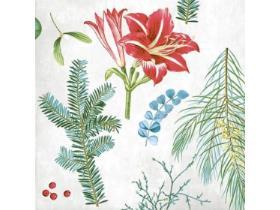 SERVIETTEN AIRLAID  40 x 40 cm, "Amaryllis"