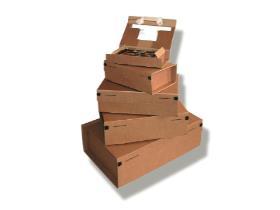 VERSANDKARTON PACBOX COLOMPAC  I 305 x 212 x 110mm, Feinwelle 240 g/St.