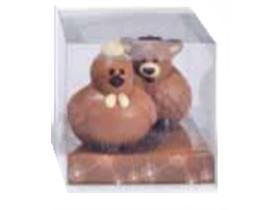 TRANSPARENTE SICHTBOX PVC  PVC, Transparente Sichtbox, 210x210/250m