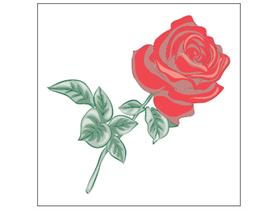 TASSENUNTERSETZER  "Rose",1-lagig, 85x85mm, 3-farb